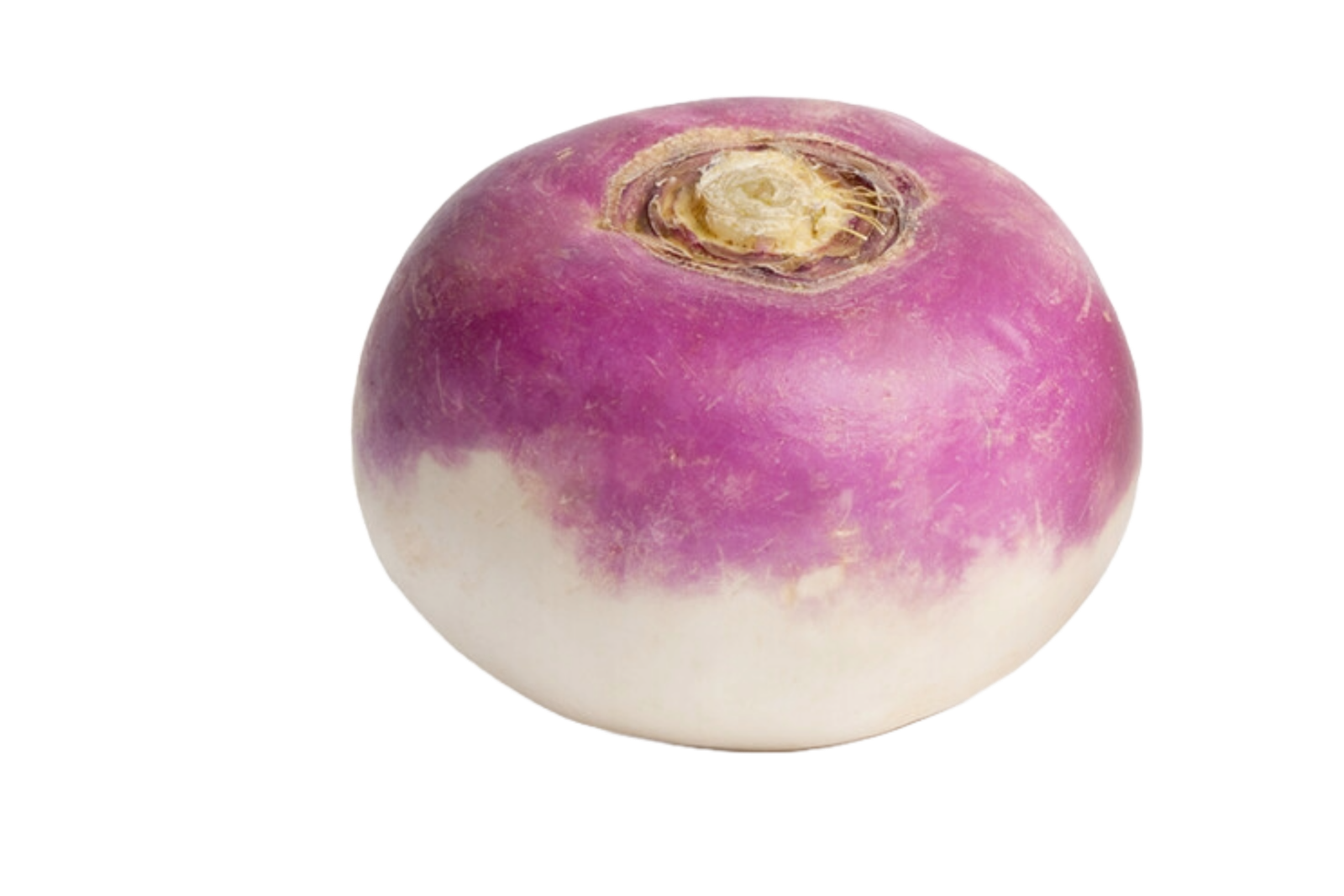 Navets