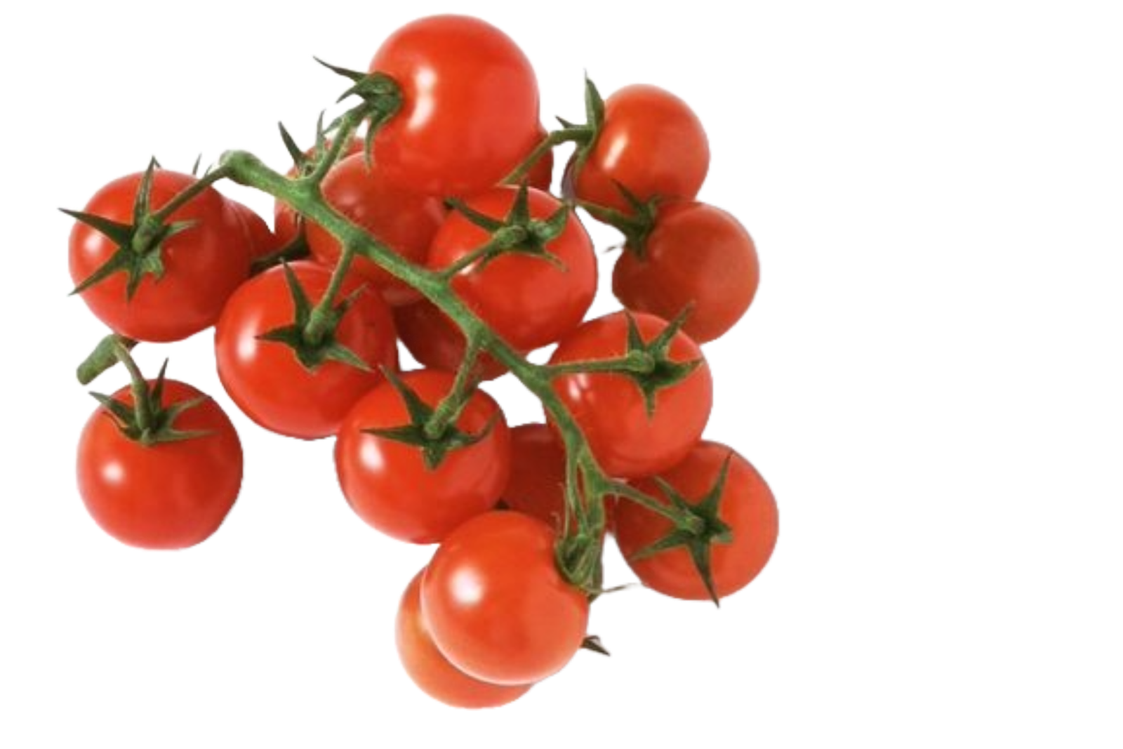 Tomates cerises