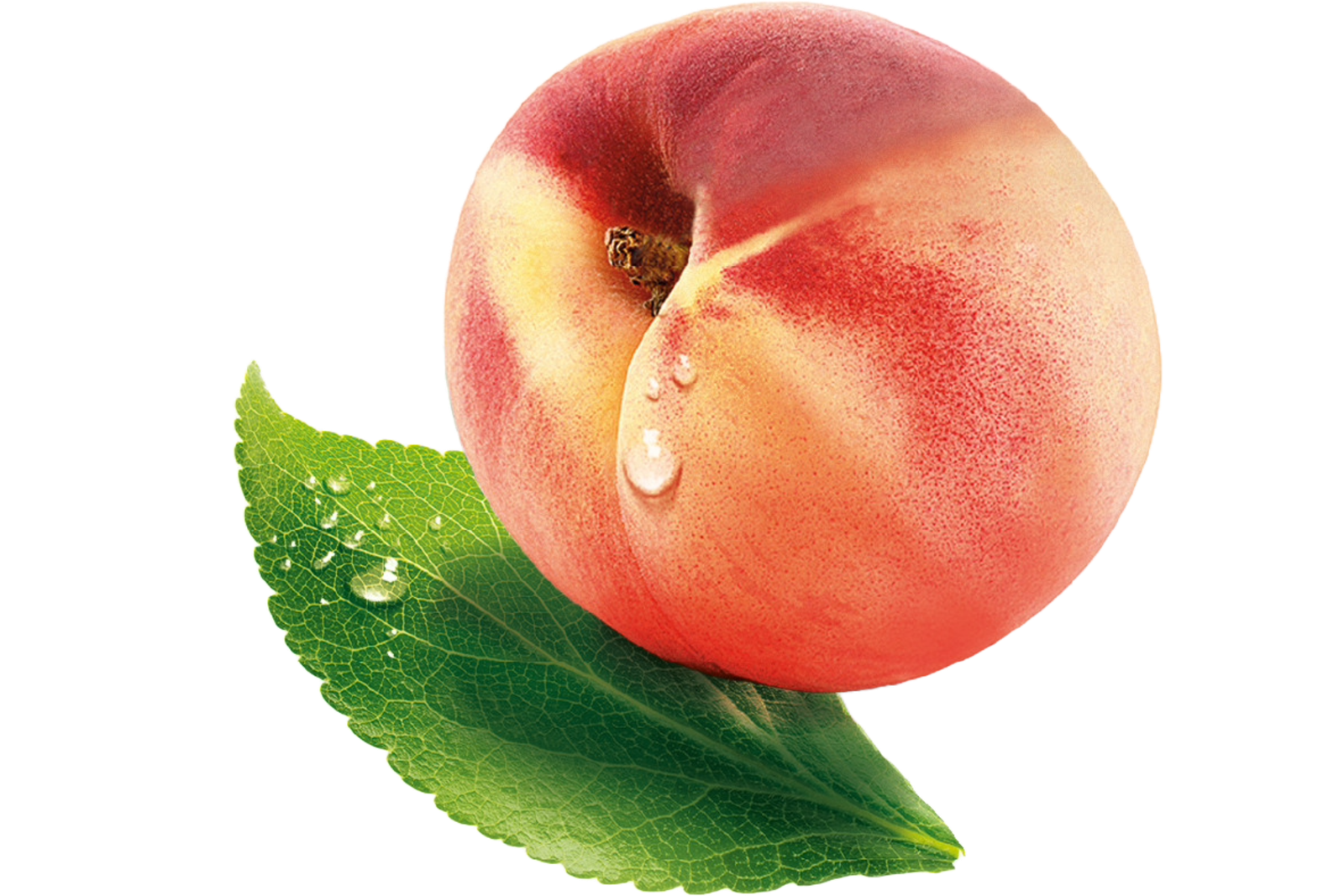 Pêche