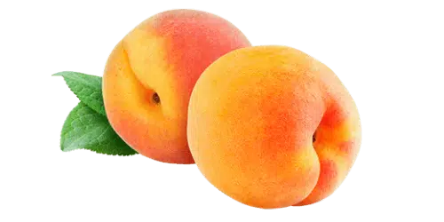 Abricots