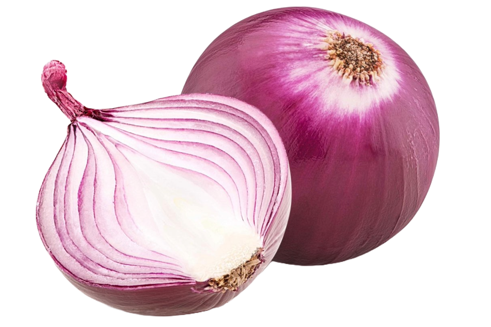 Oignons rouges