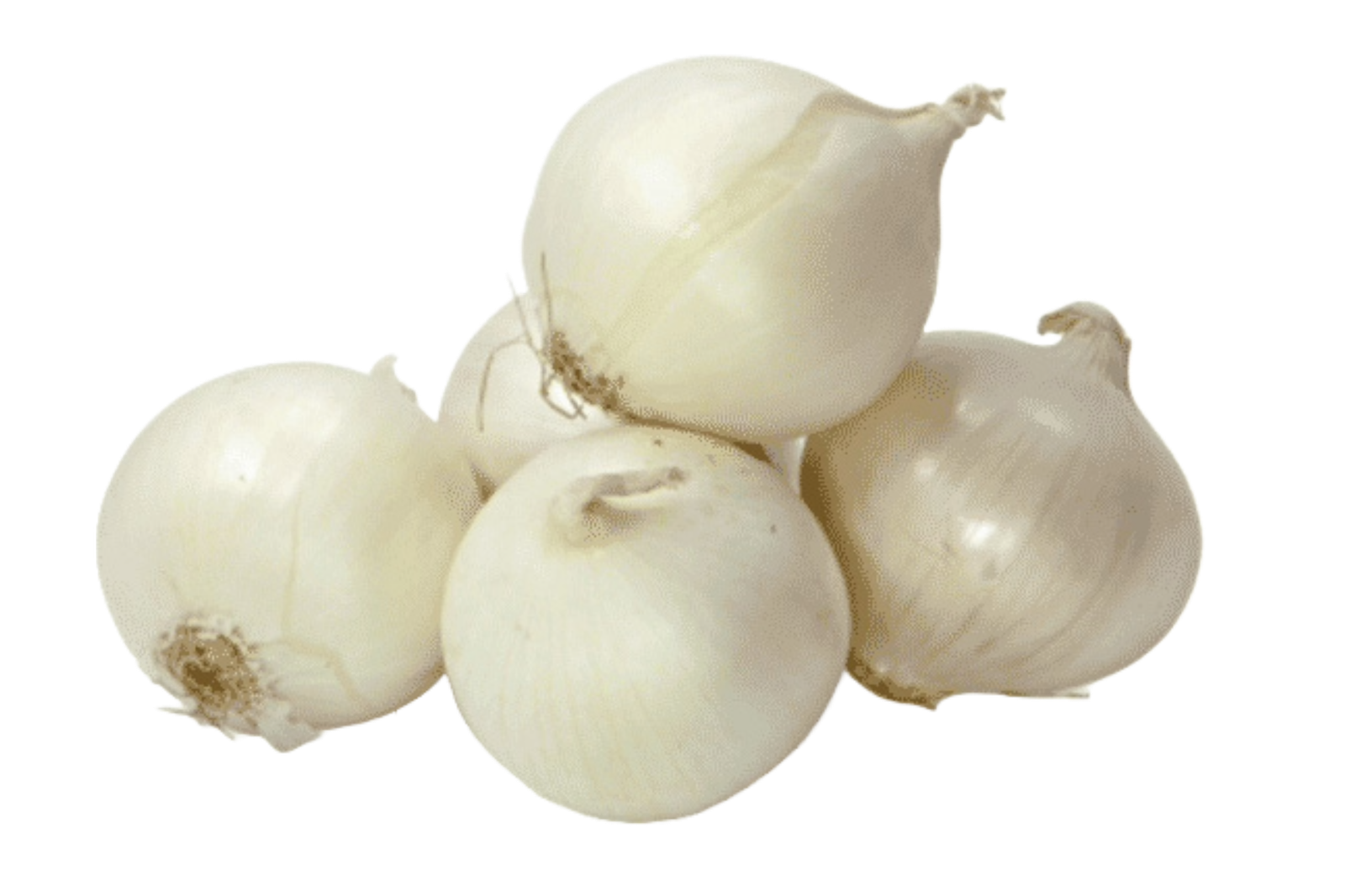 Oignons blancs